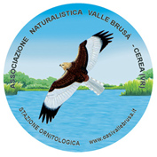 Logo Naturalistica Valle Brusà – Onlus
